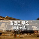 고향집 농박 | 강진 푸소 농가체험, 강진여행 숙소