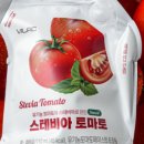 에스티벤처스