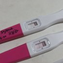 수정냉동 | 시험관 냉동배아 이식 후기, 삼신할매 사탕 5일배아 2개 이식 임신테스터기 두줄 아기집 확인까지 - 04