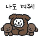 개만세 유치원(대형견) 이미지
