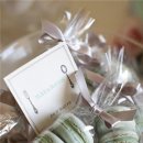 블리스데이(Bliss Day) 이미지