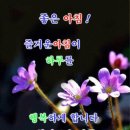 행복한하루 이미지