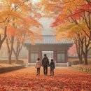 순천 나무숲 | 순천 송광사 가을 숲길, 인생 단풍 여행 솔직 후기