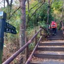 (주)홍이관광