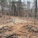 조양목욕탕 이미지