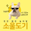 소울도기 이미지