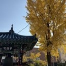 해남군-13 | [울산 중구 카페-문화공간 해남] 🪵 따뜻함과 고요함이 머무는 곳 해남사수행관방문 후기