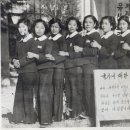 유위수 Daum카페