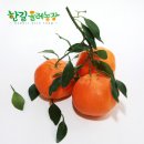 주한농장 이미지