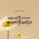 마티아 Daum카페