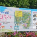 2025 노원구 불암산 힐링타운 철쭉제 [봄꽃 명소 나들이] 후기
