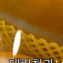 대림청과 - 서대문구 영천시장길 8 | 대림청과