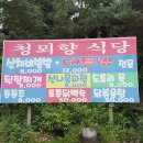 청뫼향 이미지