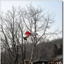 민속촌 Daum카페