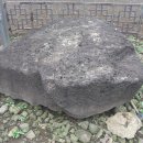 동일리-3 Daum카페