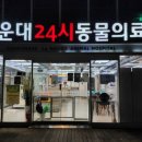 순풍동물병원 이미지