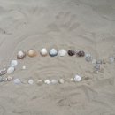 다대포어린이집 이미지