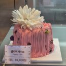베어플레인 | 일산 롯데백화점 선물하기 좋은 기념일 케이크 해피베어데이 도시락 케이크 후기