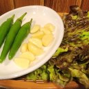 원조꼬리치는돼지 이미지