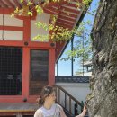 수기초등학교 | 일본 교토 여행 전에 알면 좋은 팁 5가지 | 숙소 위치·현금·걷는 여행