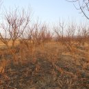 김종철농장 이미지