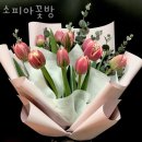 꽃집소피아 이미지