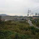 선두4리항 이미지