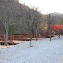 펜션벨뷰캠핑장 이미지