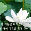 도리한가