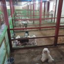 은아농장 이미지