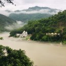 새벽요가(월,금) 이미지