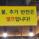 우태석의대패생각