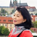 현의료기 이미지