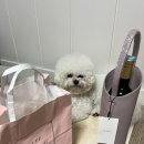 이흥용 과자점 티스토리