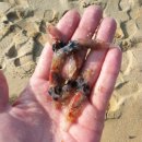 속초해변 이미지