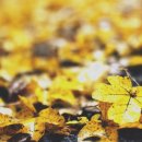 다미내과의원 이미지