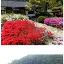 금강송계곡민박 이미지