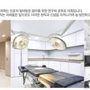 레인핏 이미지