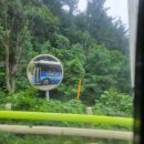 P-5411 | 스무 살의 낭만 가득 울릉도 여행🇰🇷🌊