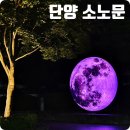 1박2일 단양여행 숙소 소노문 대명콘도리조트 숙박 야경도 멋짐