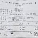 레인슈타인 이미지