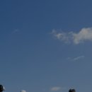 엠(m)덴탈 이미지