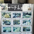 리치펄슨 이미지