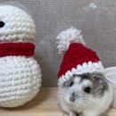 찬샘동물병원 이미지