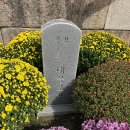 연곡리 비로자나불상 | [여행 속 장소][2026.10.19] 충북 보은군 / 법주사 대웅보전 / 소조비로자나삼불좌상, 3대 불전