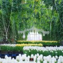 컬러풀 세계여행 이미지