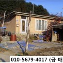대지 Daum카페