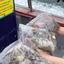 구매항펜션 이미지