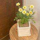 GS25교하점 이미지