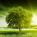 재성공인중개사 이미지